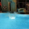 Arschbombenwettbewerb 5. Dezember